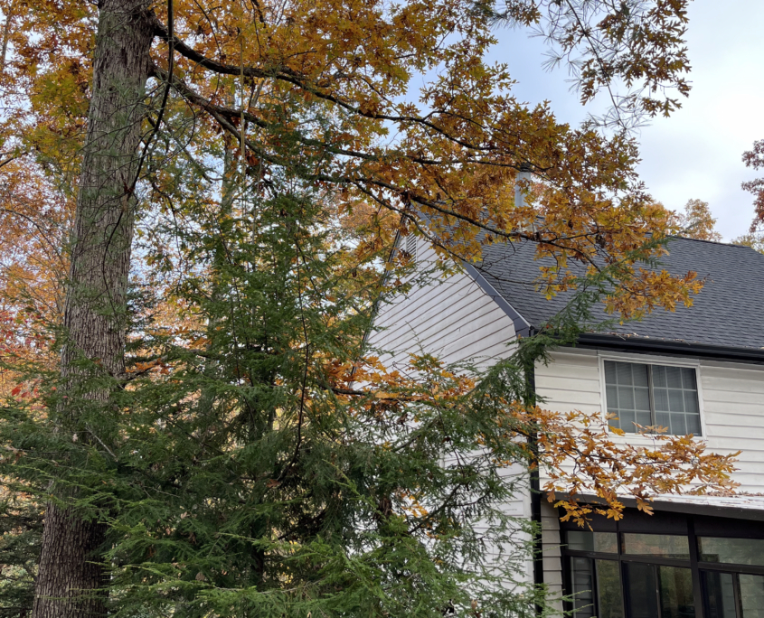 9CA3AFCF-2C89-4C4B-AA23-671D224530D1